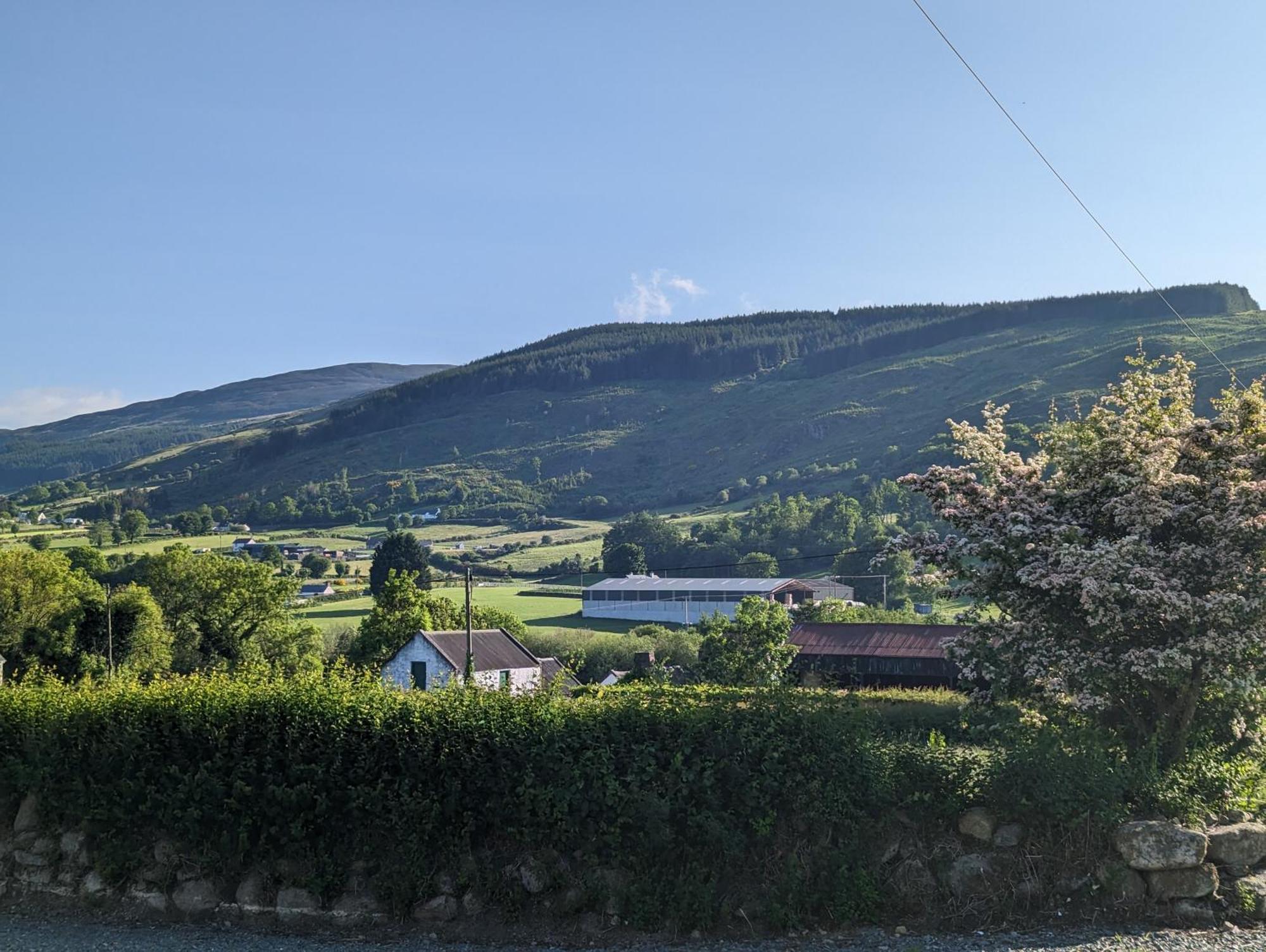 Killeavy Cottage Meigh Eksteriør bilde