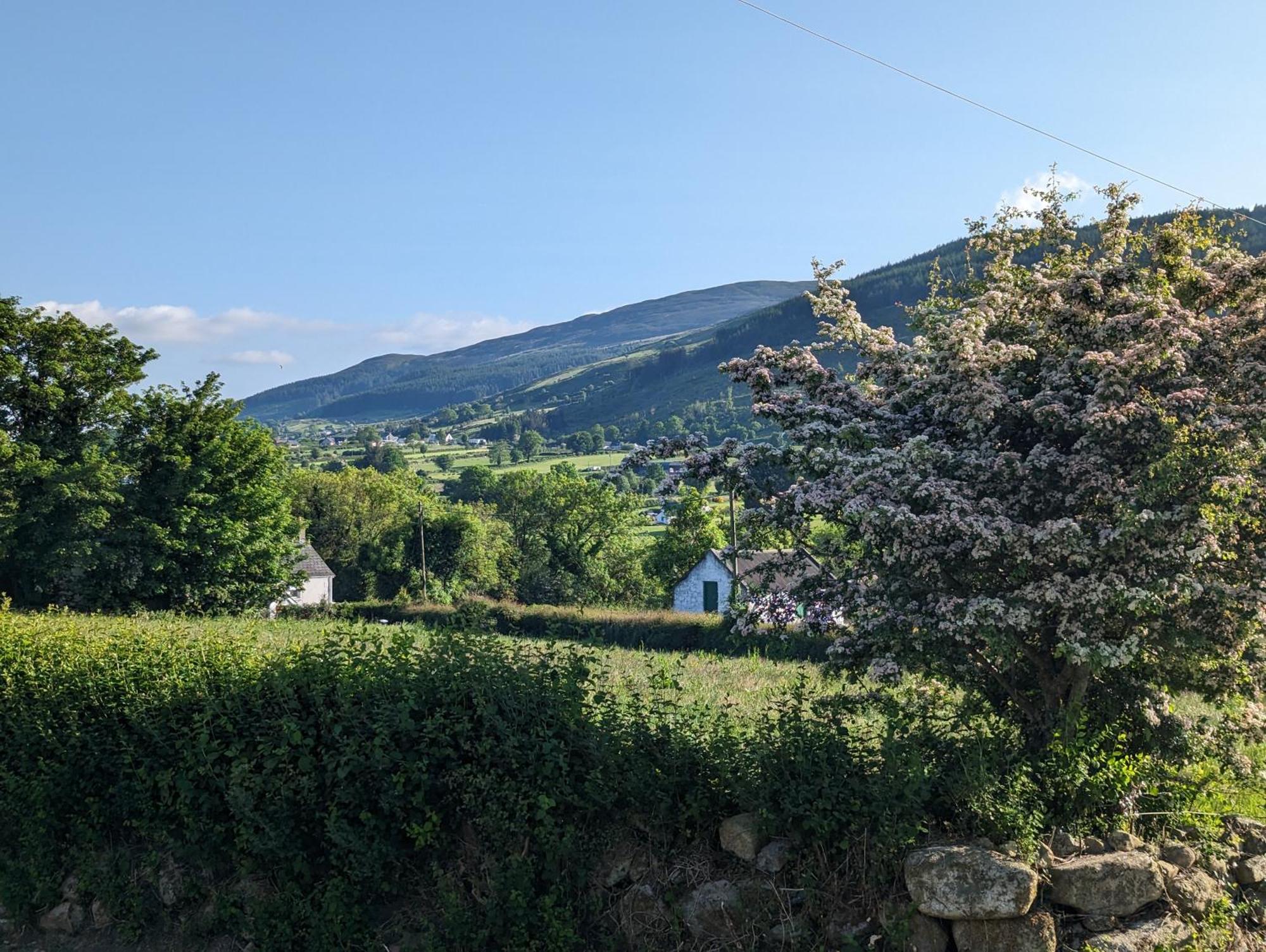 Killeavy Cottage Meigh Eksteriør bilde