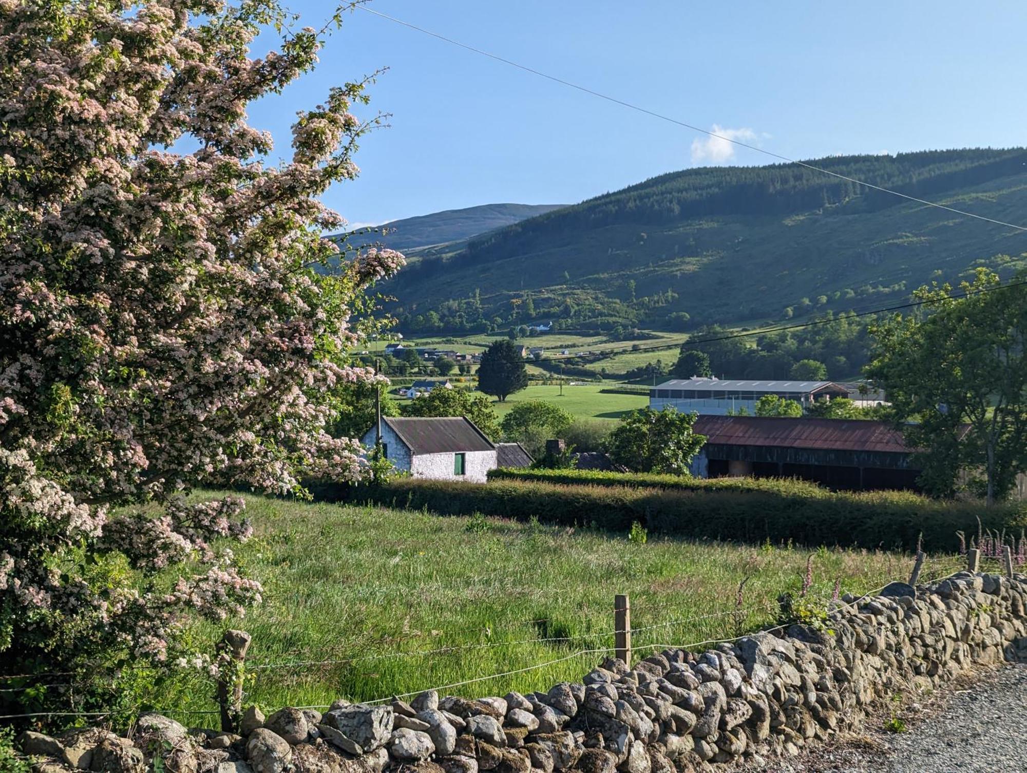 Killeavy Cottage Meigh Eksteriør bilde