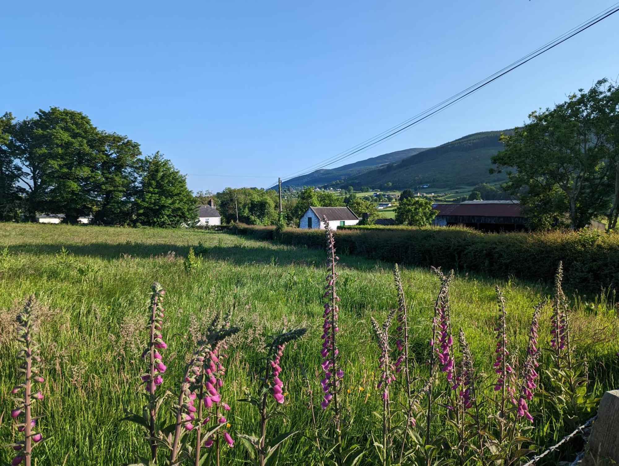 Killeavy Cottage Meigh Eksteriør bilde